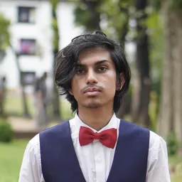 Safwan Usaid Lubdhak